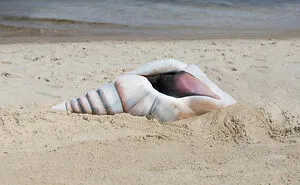 Artist Transforms Human Body Into Incredible Optical Illusions (70 pics)