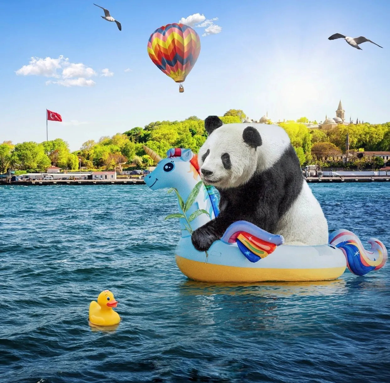 Panda-İstanbul