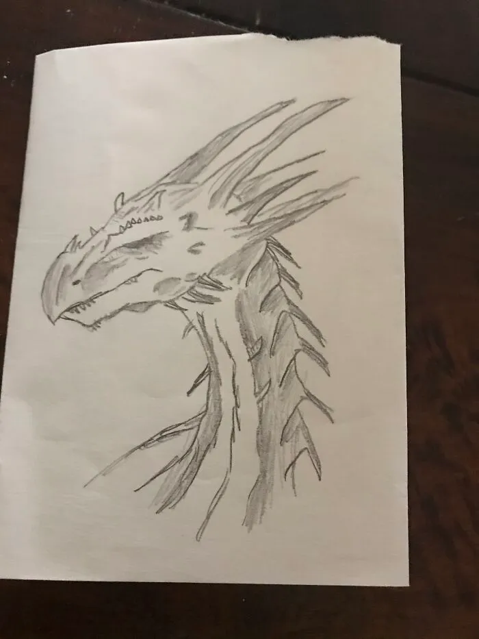 Very Detailed Icewings