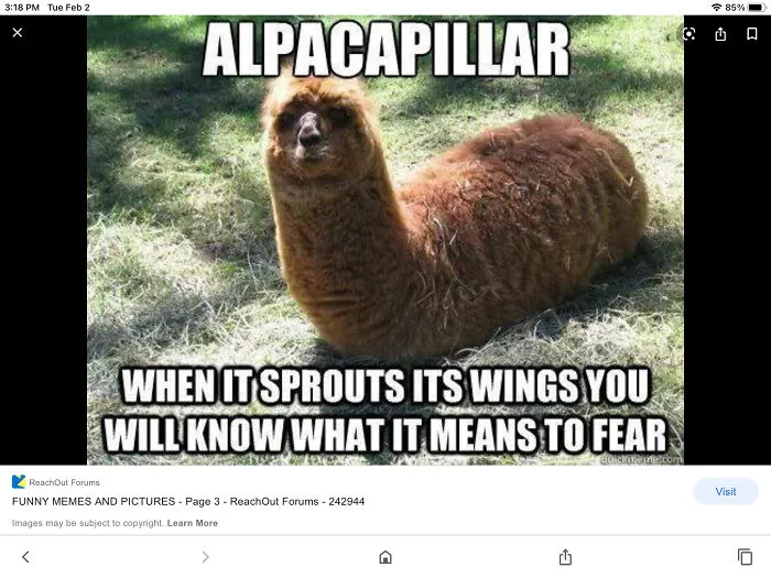 😂