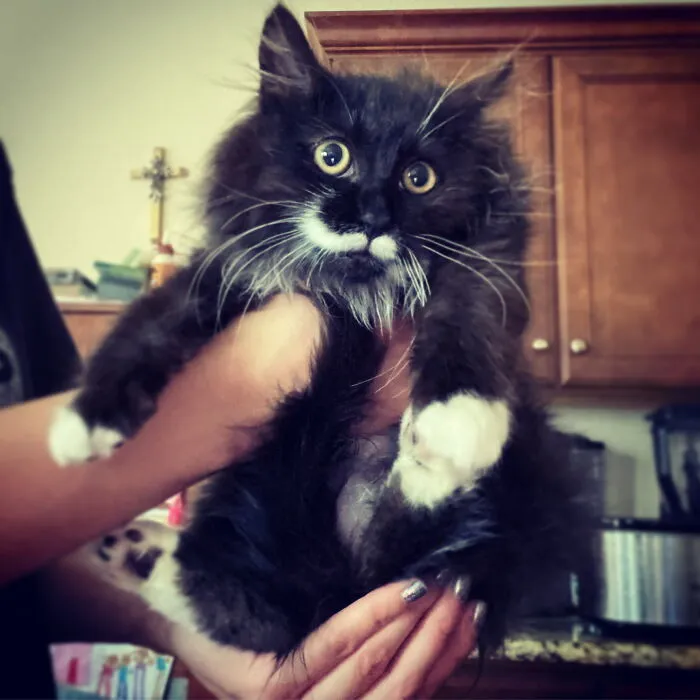 Miss Hector