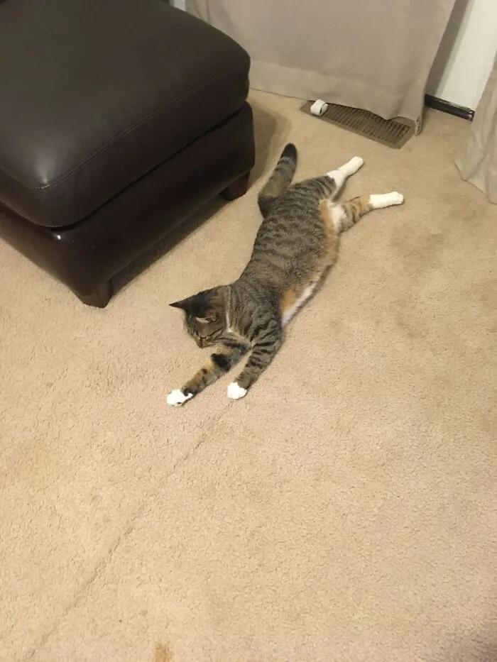 Streeeech!