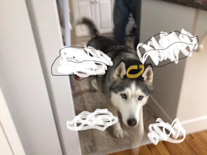 An Angle In Fluff