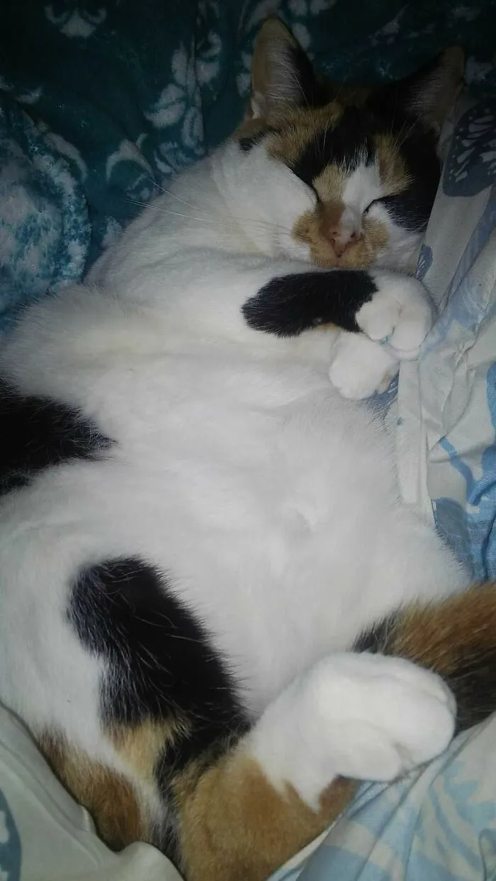 My Floof!