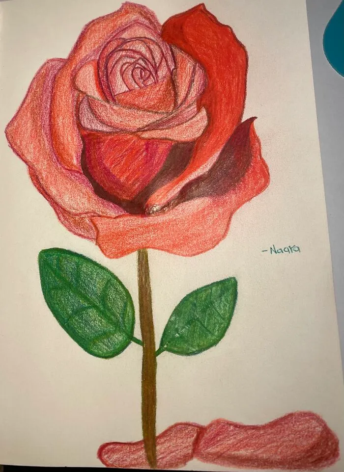 I Did This For An English Assignment, I Hate The Colors But I Guess It Is Ok :^