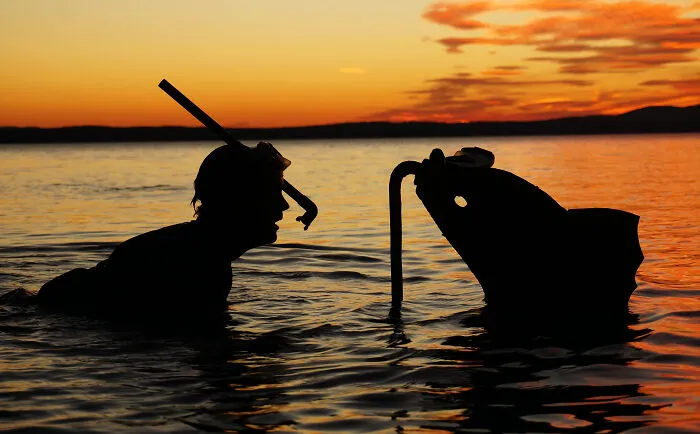 Silhouette of a snorkeler with a cardboard cutout dolphin at sunset, evoking a Valentine’s Day mood.