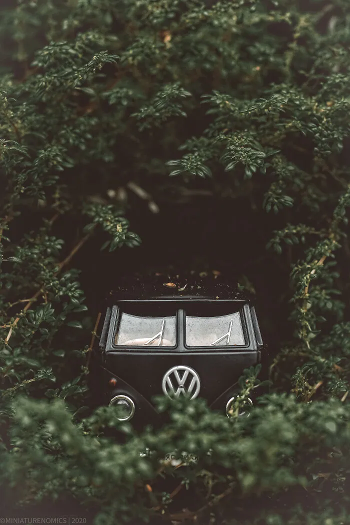 Trapped In Nature