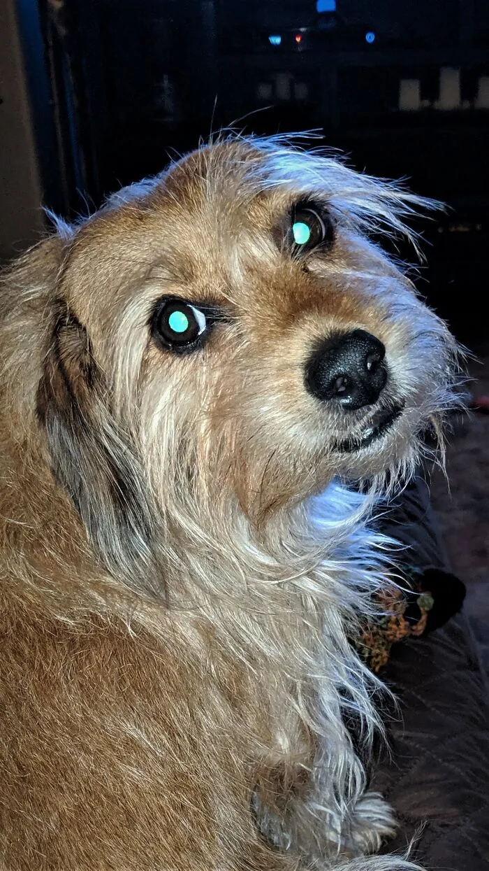 My Handsome Griswold