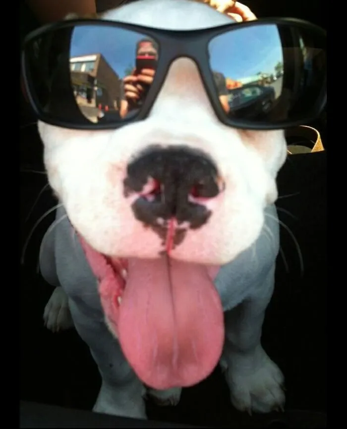 Willy!