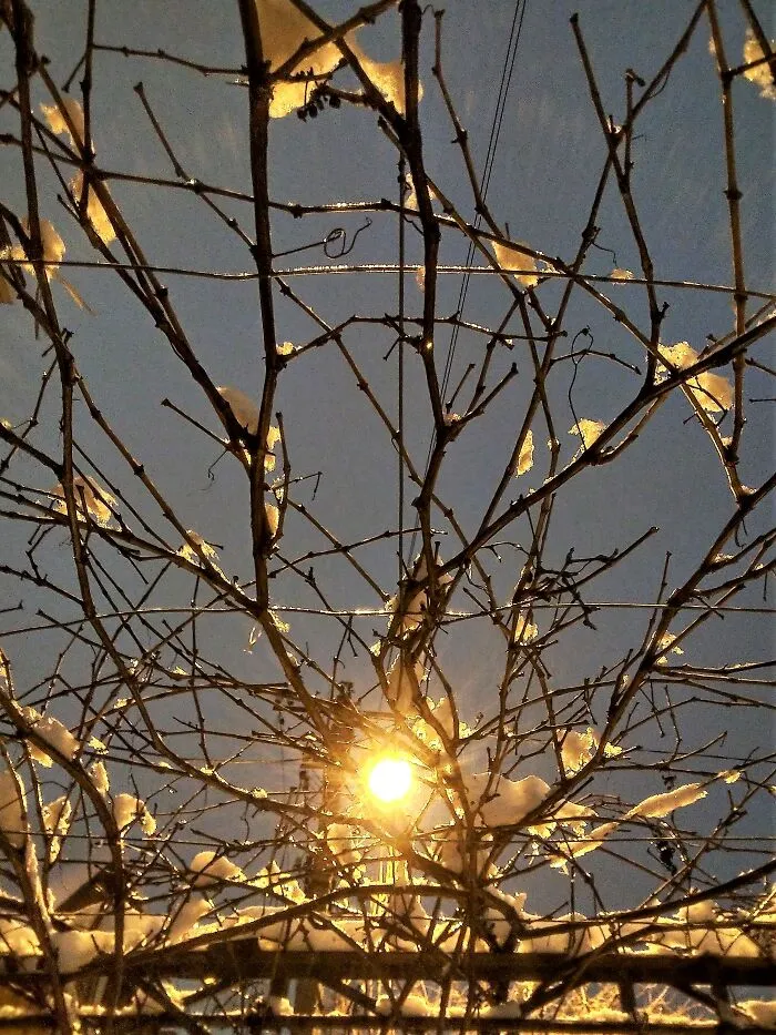 "Electric Sun" The Days Are Still Short. And There Is Not Enough Warmth. Only The Electric Sun Illuminates My Way