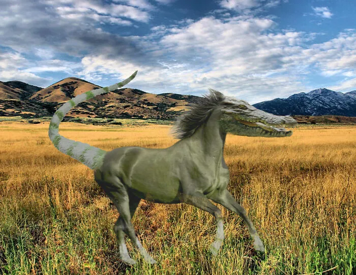 I Made This Guy On Photopea. Meet Horsodile