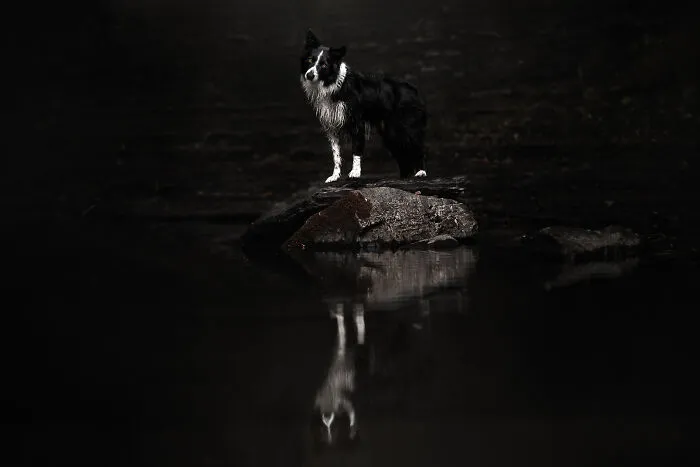 Dark On Dark