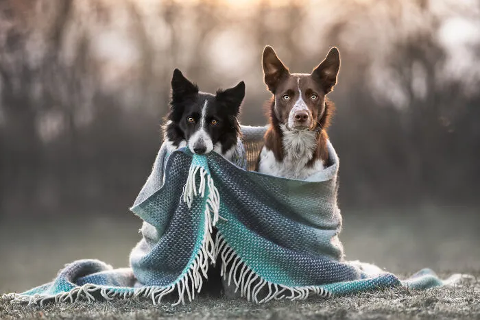 Keeping Cosy