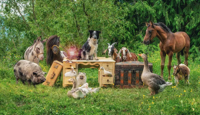 Animal Farm