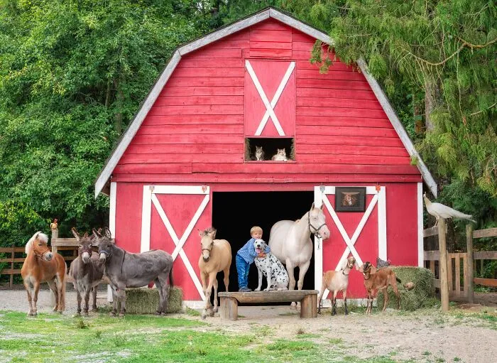 I Created A Photo Project Called "Farmily" Where I Capture Families And All Their Animals (30 Pics)