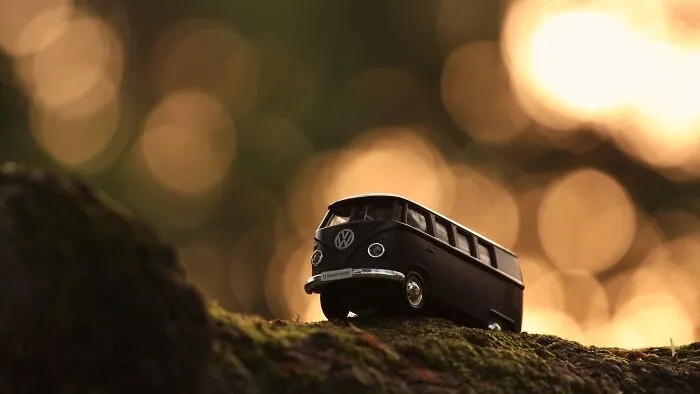 In To The Woods