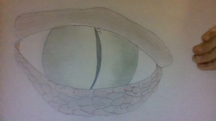 Dragon Eye