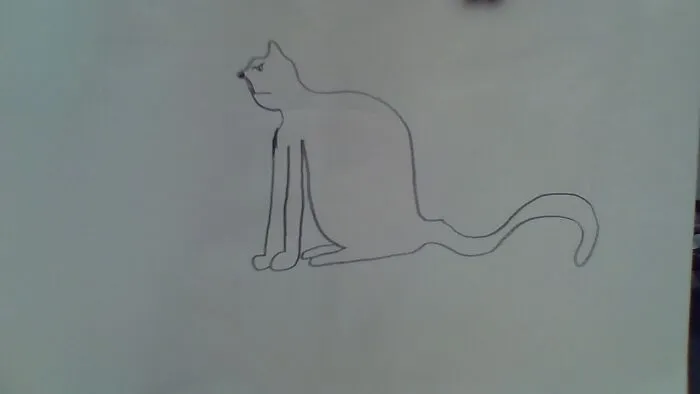 Edgy Cat, I Guess?