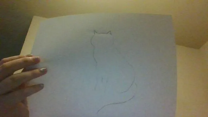 Cat Silhouette