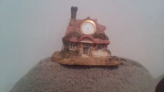 Cottage Core