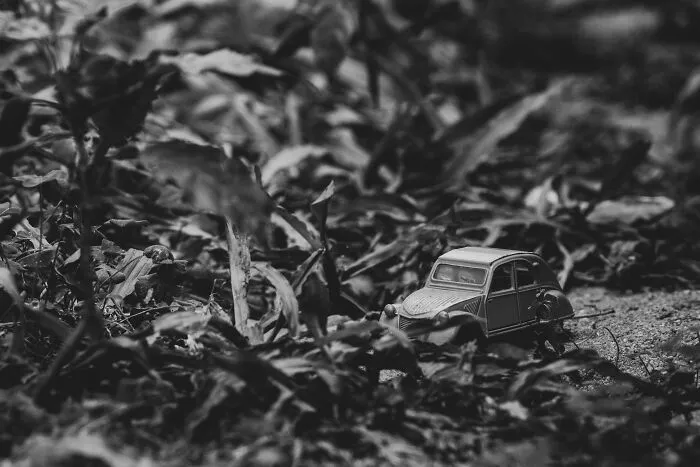 I Joined A Miniature Photographer In His Adventure