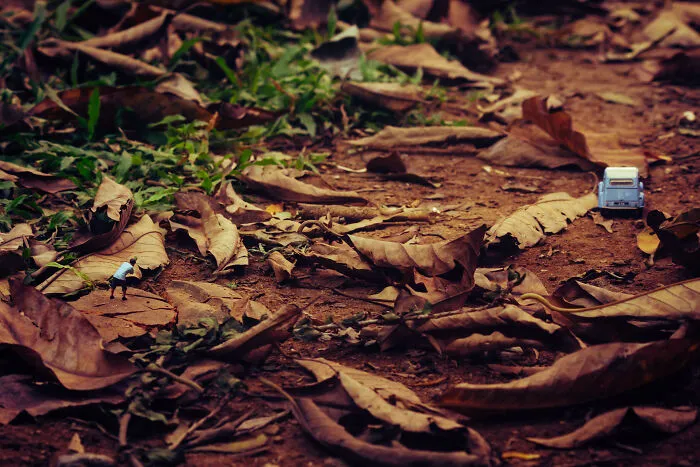 I Joined A Miniature Photographer In His Adventure
