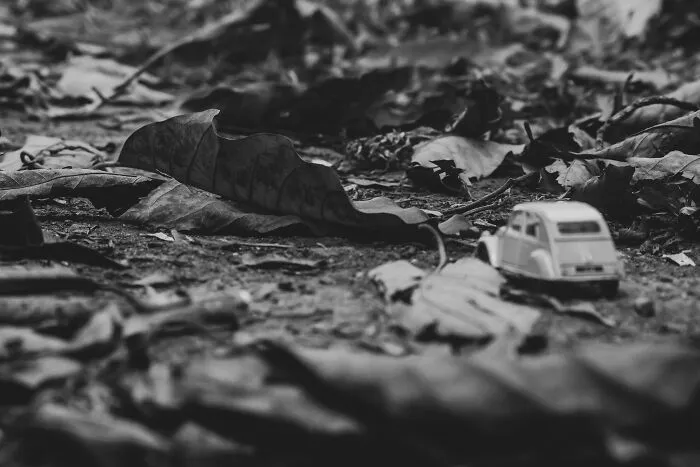 I Joined A Miniature Photographer In His Adventure