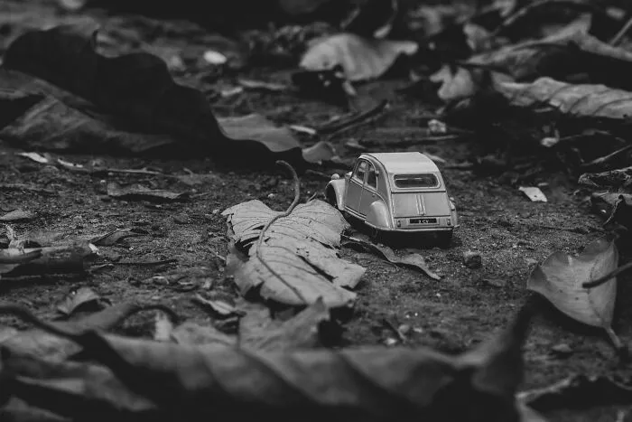 I Joined A Miniature Photographer In His Adventure