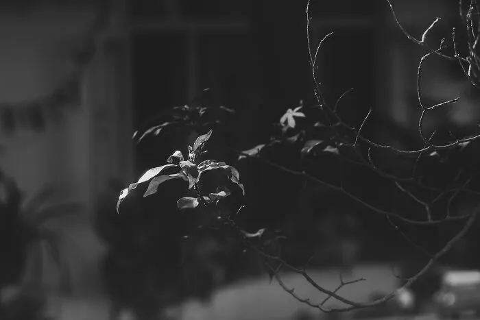 I Joined A Miniature Photographer In His Adventure