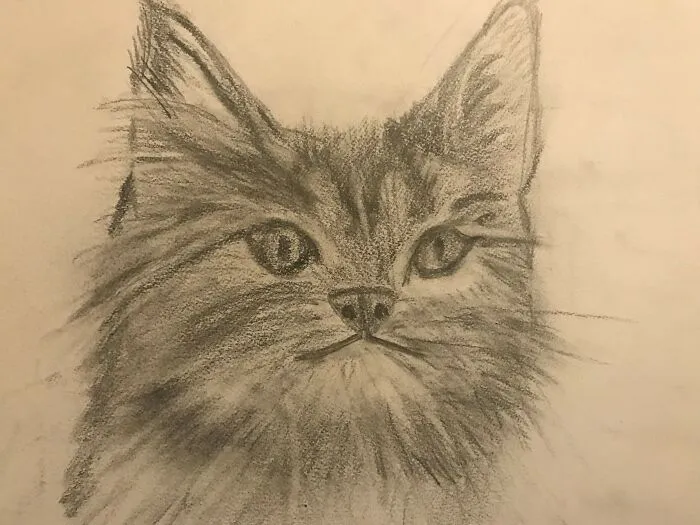 Kitty Cat