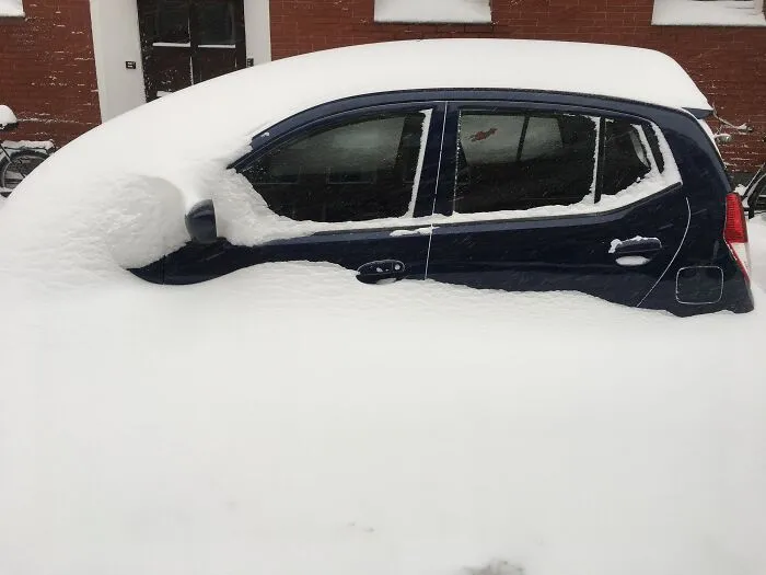 Swimming In The Snow