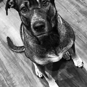 Ezra