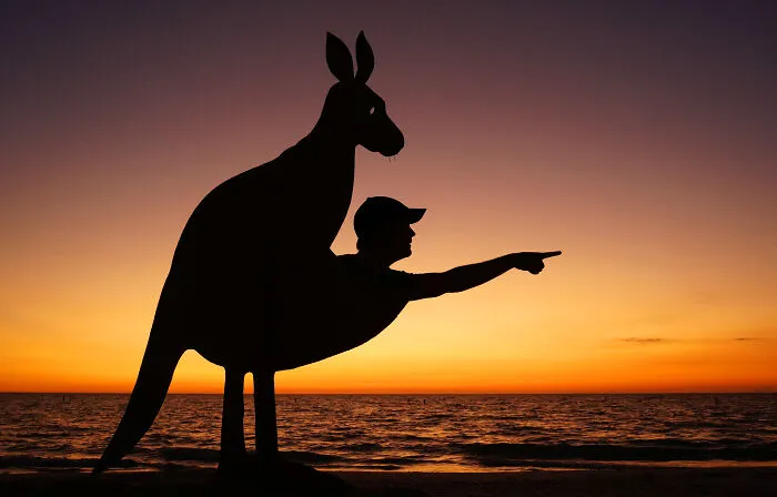 Selfie date cardboard cutout of a kangaroo at sunset by the ocean.