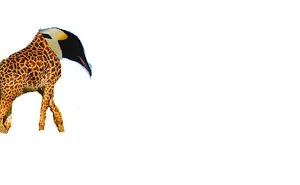 Hey Pandas, Create The Weirdest Animal Yet Using Photoshop (Closed)