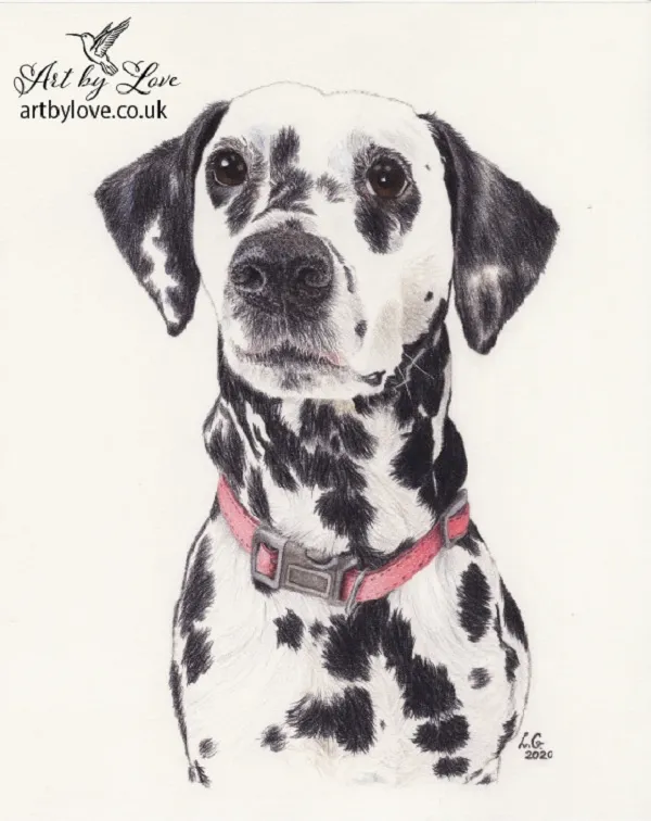 I Am Doing A Portrait To Help Raise Money For A Family Who Lost Their Home Because Of The Earthquake