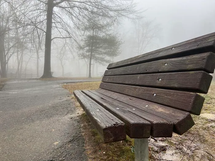 Bench