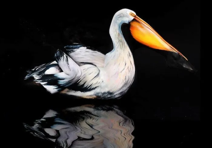Artist Transforms Human Body Into Incredible Optical Illusions (70 pics)