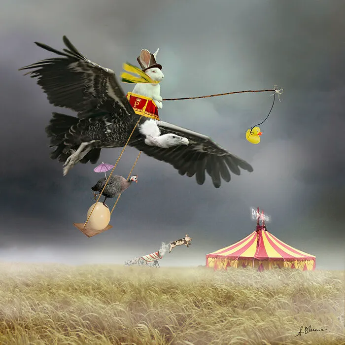 Circus Poggibonsi