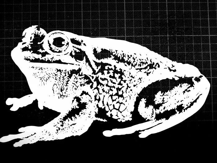 I've Been Cutting From Paper For 4 Months, Here's What I've Made (53 Pics)