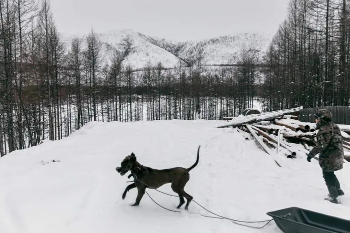 Photographer Captures The Lives Of People In Yakutia, Where It Gets As Cold As -58 Fahrenheit (35 Pics)