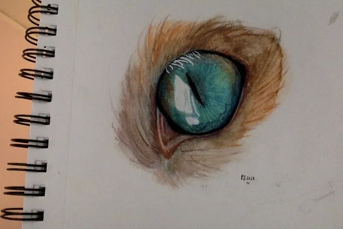 Random Hyper-Realistic Colored Pencil Drawings