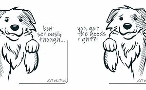 My 29 Comics That Show What It’s Like To Live With A Cat And A Dog