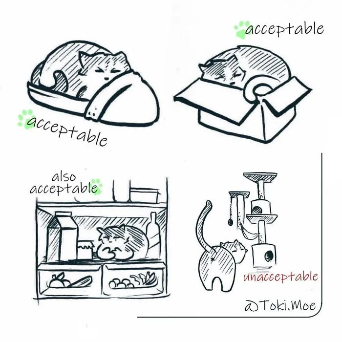 My 29 Comics That Show What It’s Like To Live With A Cat And A Dog