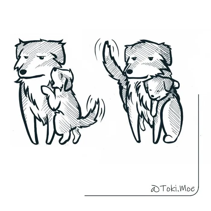 My 29 Comics That Show What It’s Like To Live With A Cat And A Dog