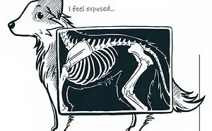 My 29 Comics That Show What It’s Like To Live With A Cat And A Dog