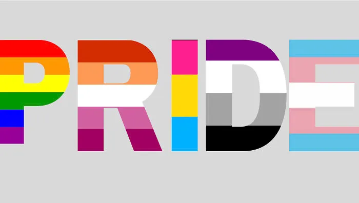 I Don't Think I'm Queer, But Here's A Design! I Couldn't Fit Evert Flag Into This Design, Obviously, But I Tried!
