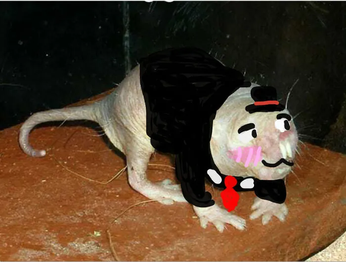 :3