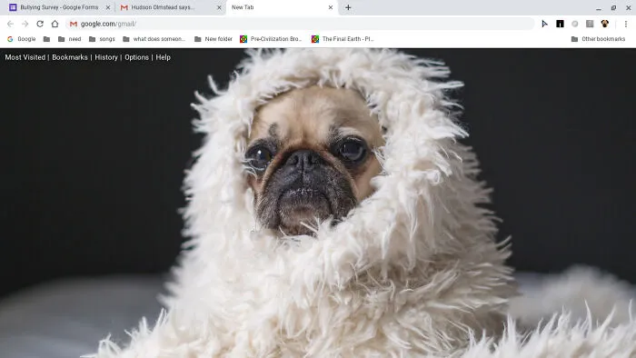 My Doggo