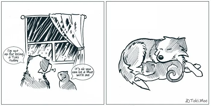 My 29 Comics That Show What It’s Like To Live With A Cat And A Dog
