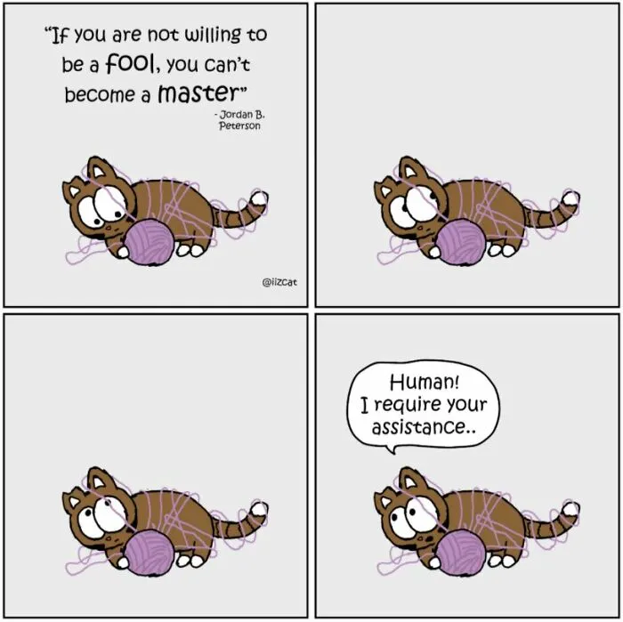 Artist Sums Up Life With A Cat In 30 Comics